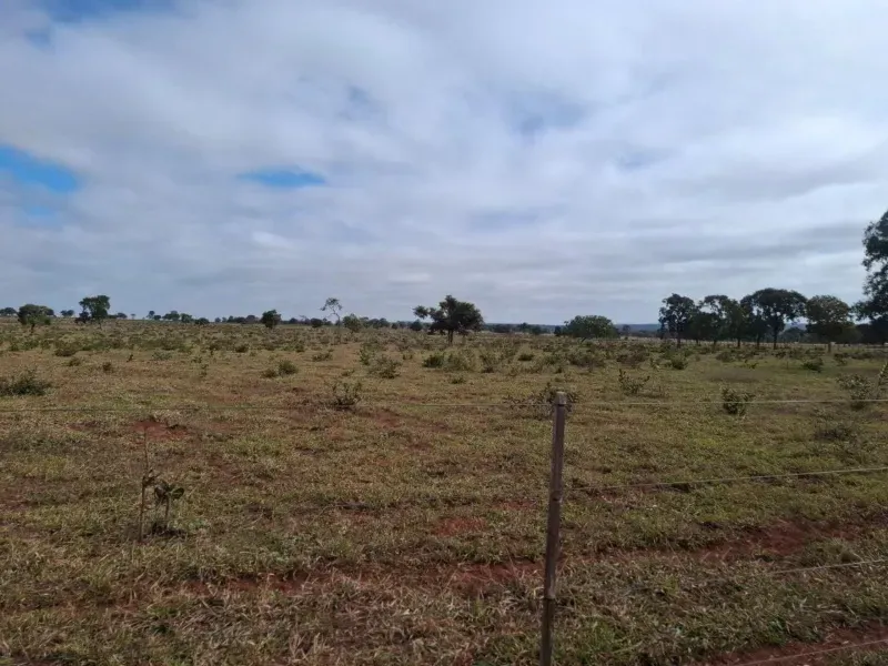 Fazenda em Campo Grande/Mato Grosso do Sul — Ref JQHO0G — Imagem 16