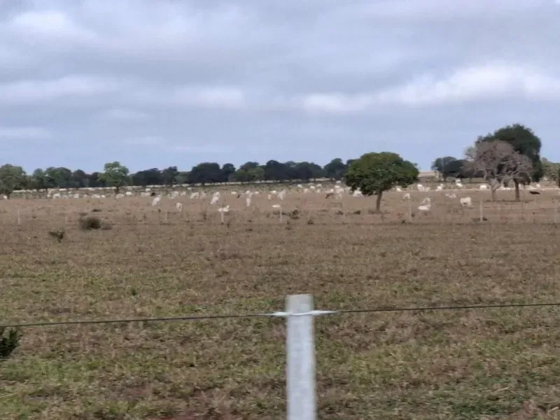 Fazenda em Campo Grande/Mato Grosso do Sul — Ref JQHO0G — Imagem 17