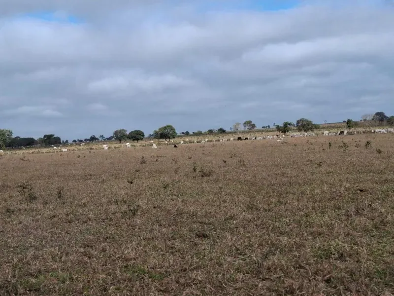 Fazenda em Campo Grande/Mato Grosso do Sul — Ref JQHO0G — Imagem 19