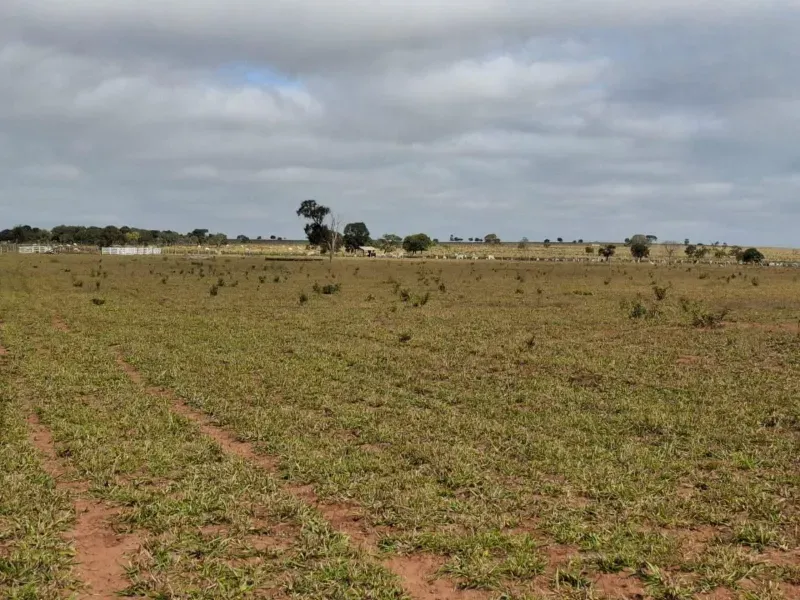 Fazenda em Campo Grande/Mato Grosso do Sul — Ref JQHO0G — Imagem 20