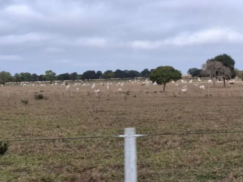 Fazenda em Campo Grande/Mato Grosso do Sul — Ref JQHO0G — Imagem 21