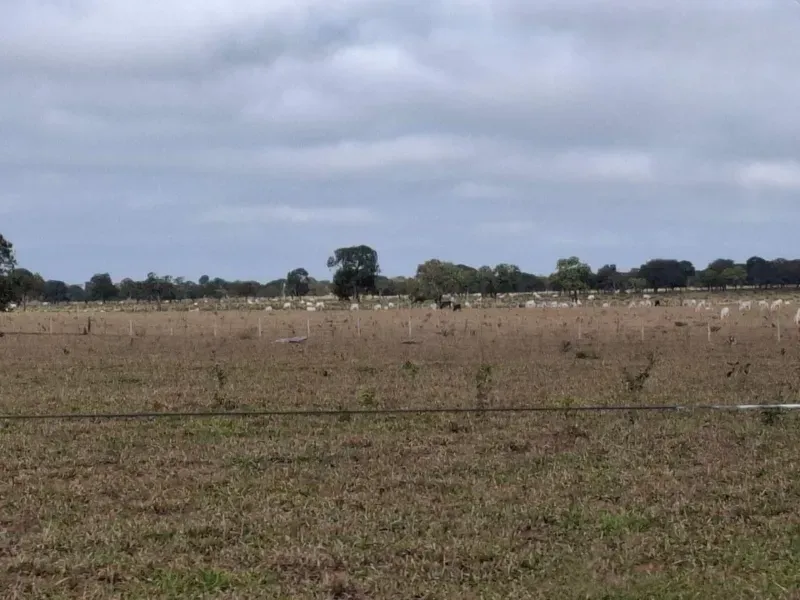Fazenda em Campo Grande/Mato Grosso do Sul — Ref JQHO0G — Imagem 22