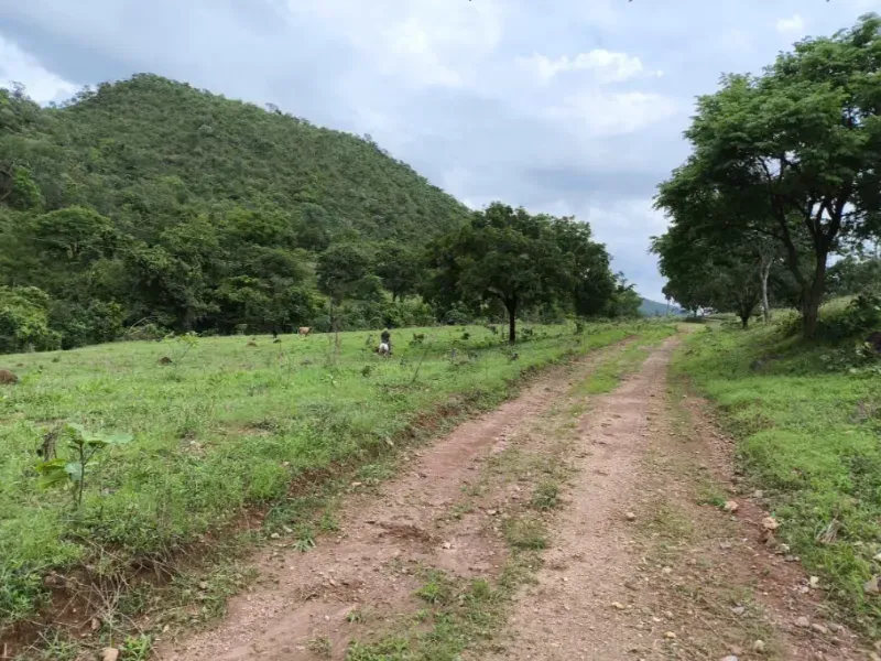 Fazenda em Niquelândia/Goiás — Ref UQGTDH — Imagem 1