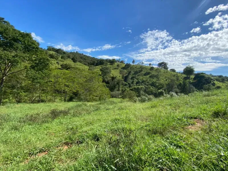 Fazenda em Niquelândia/Goiás — Ref UQGTDH — Imagem 3