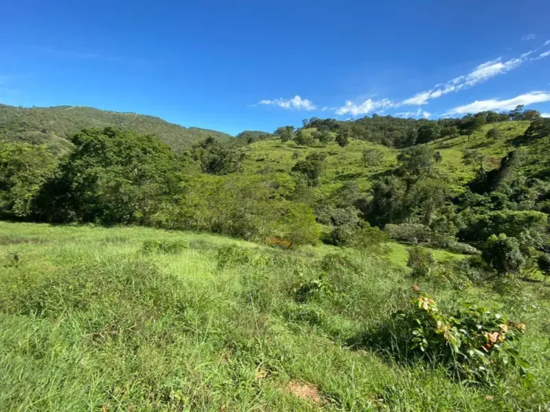 Fazenda em Niquelândia/Goiás — Ref UQGTDH — Imagem 4