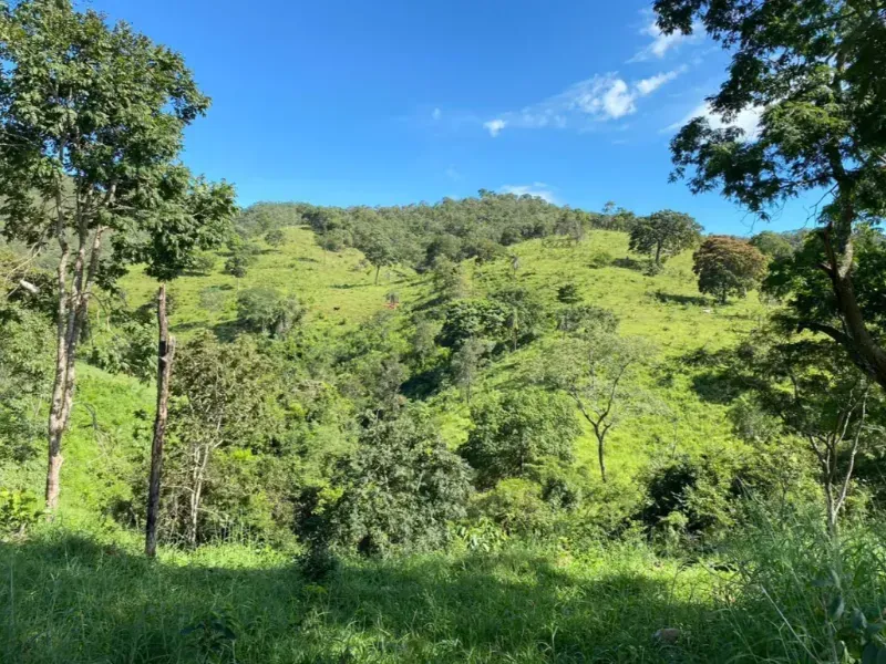 Fazenda em Niquelândia/Goiás — Ref UQGTDH — Imagem 6