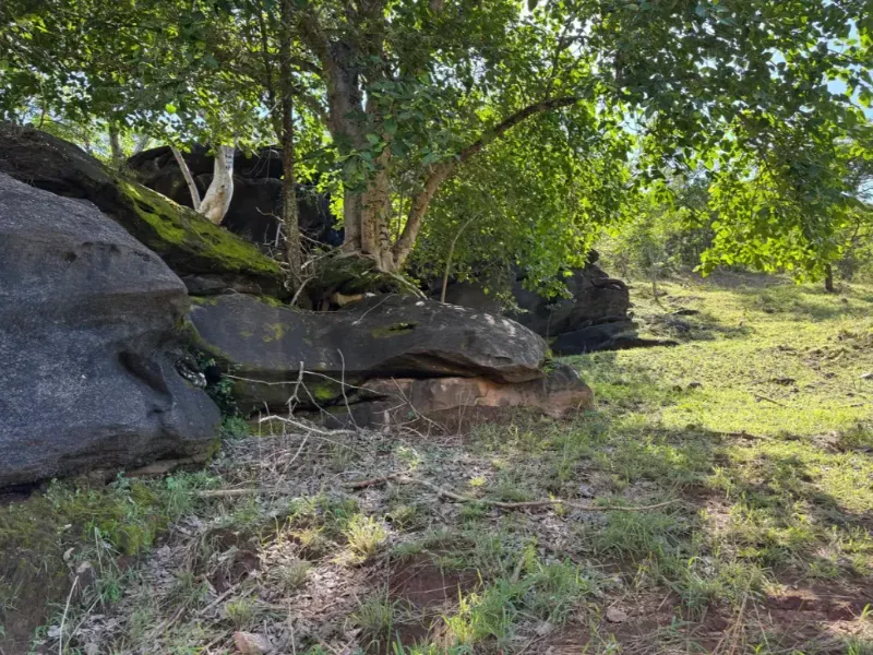 Fazenda em Niquelândia/Goiás — Ref UQGTDH — Imagem 7