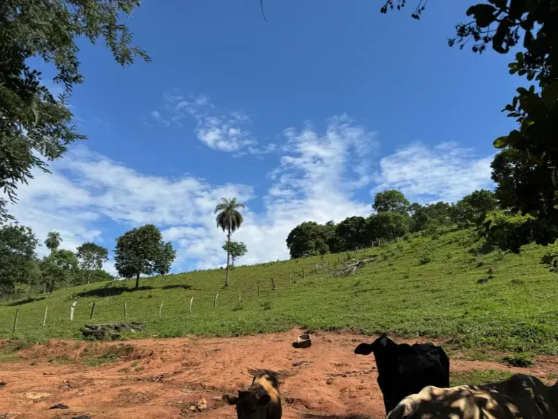 Fazenda em Niquelândia/Goiás — Ref UQGTDH — Imagem 9
