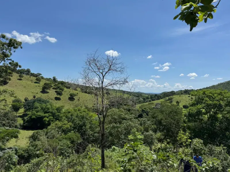 Fazenda em Niquelândia/Goiás — Ref UQGTDH — Imagem 10