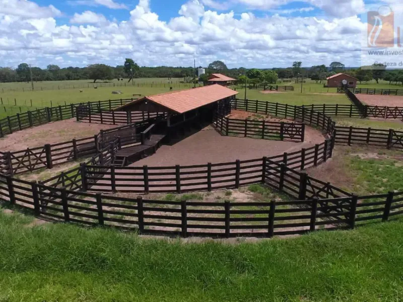 Fazenda em Campo Grande/Mato Grosso do Sul — Ref DK36JT — Imagem 2