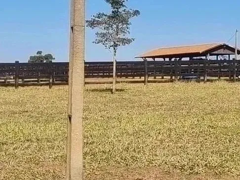 Fazenda em Campo Grande/Mato Grosso do Sul — Ref DK36JT — Imagem 18