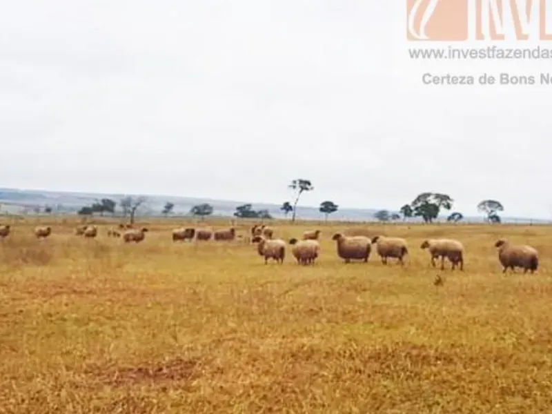 Fazenda em Campo Grande/Mato Grosso do Sul — Ref DK36JT — Imagem 22