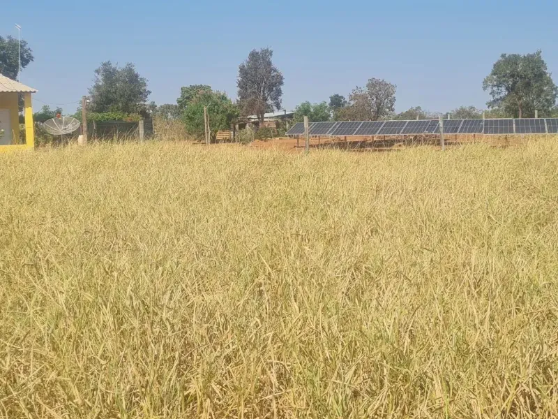 Fazenda em Campo Grande/Mato Grosso do Sul — Ref DK36JT — Imagem 25