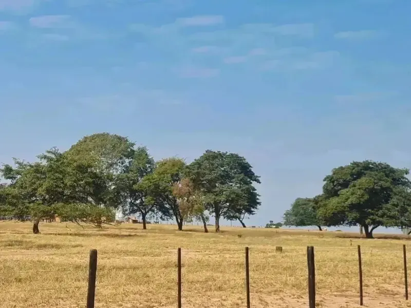 Fazenda em Campo Grande/Mato Grosso do Sul — Ref DK36JT — Imagem 26