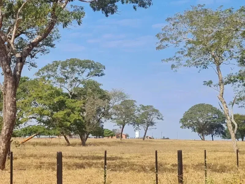 Fazenda em Campo Grande/Mato Grosso do Sul — Ref DK36JT — Imagem 27