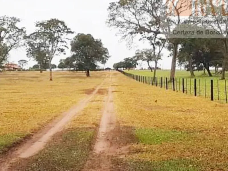 Fazenda em Campo Grande/Mato Grosso do Sul — Ref DK36JT — Imagem 29