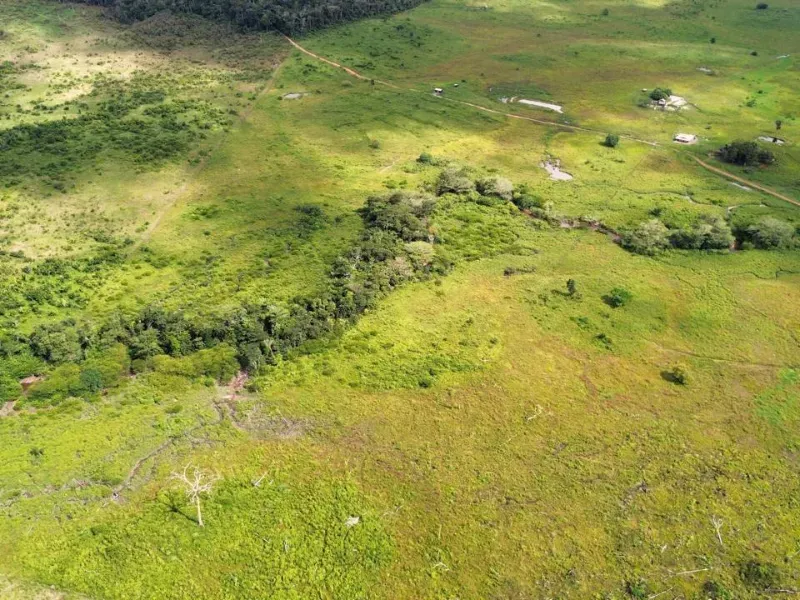 Fazenda em Pacajá/Pará — Ref VK785V — Imagem 4