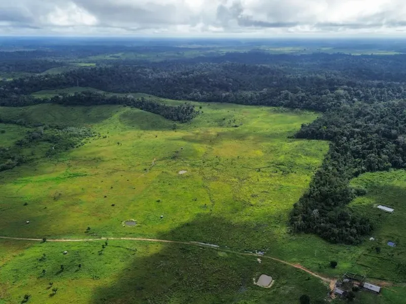 Fazenda em Pacajá/Pará — Ref VK785V — Imagem 7
