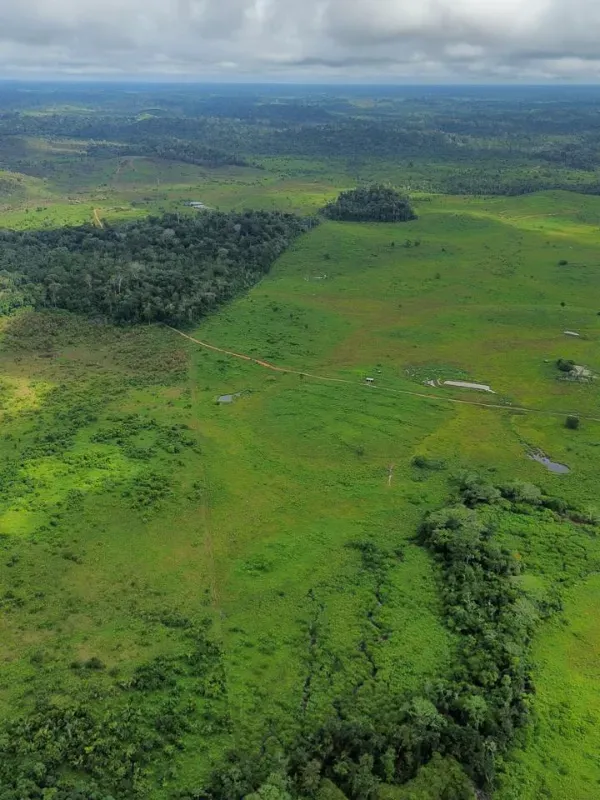 Fazenda em Pacajá/Pará — Ref VK785V — Imagem 8
