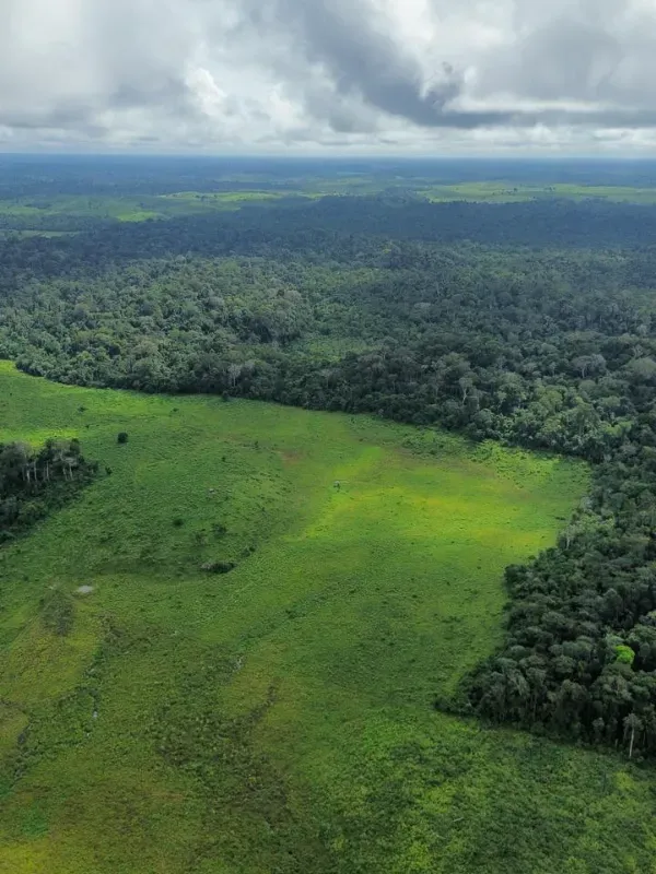 Fazenda em Pacajá/Pará — Ref VK785V — Imagem 10