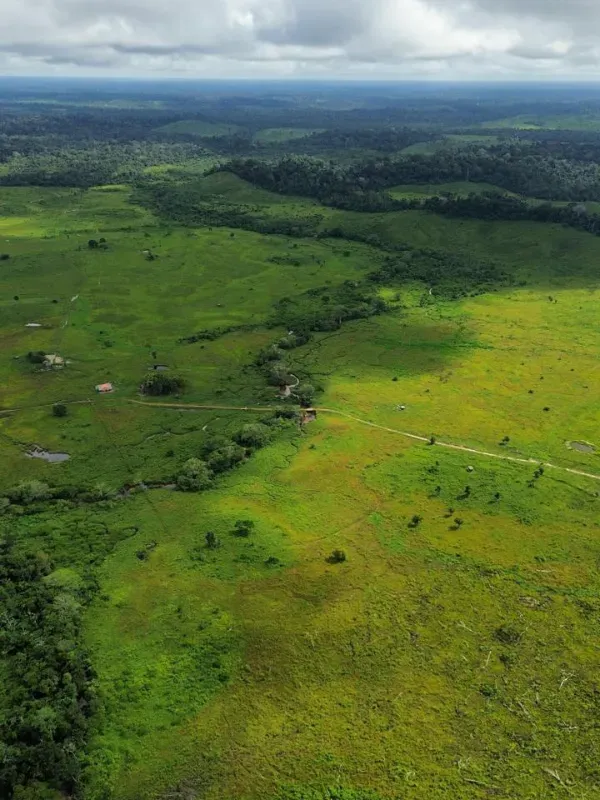 Fazenda em Pacajá/Pará — Ref VK785V — Imagem 11