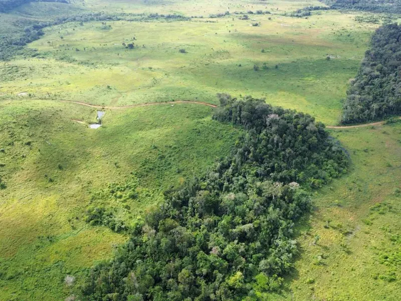Fazenda em Pacajá/Pará — Ref VK785V — Imagem 14