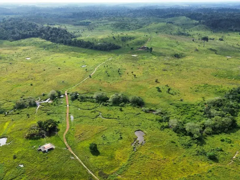 Fazenda em Pacajá/Pará — Ref VK785V — Imagem 3