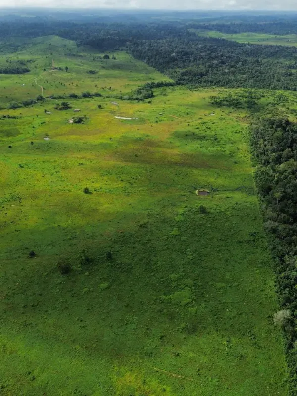Fazenda em Pacajá/Pará — Ref VK785V — Imagem 16