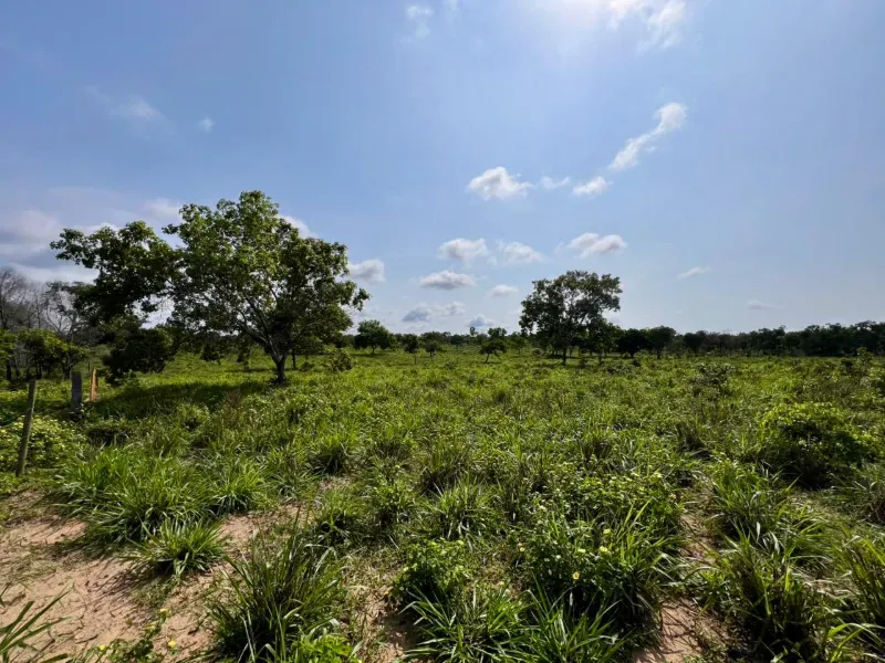 Fazenda em Araguaína/Tocantins — Ref LY2RAD — Imagem 9