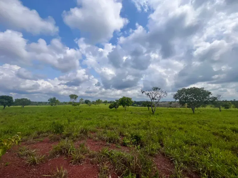 Fazenda em Araguaína/Tocantins — Ref LY2RAD — Imagem 10