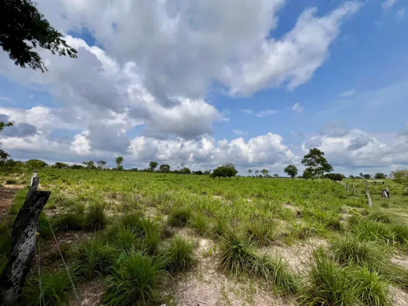 Fazenda em Araguaína/Tocantins — Ref LY2RAD — Imagem 11