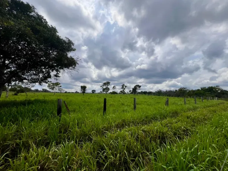 Fazenda em Araguaína/Tocantins — Ref LY2RAD — Imagem 13