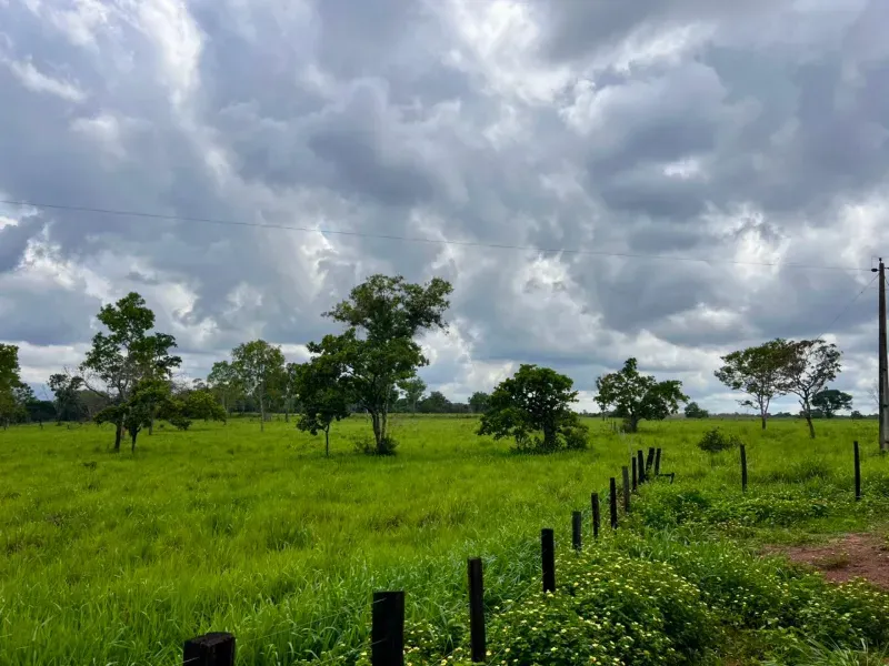 Fazenda em Araguaína/Tocantins — Ref LY2RAD — Imagem 14