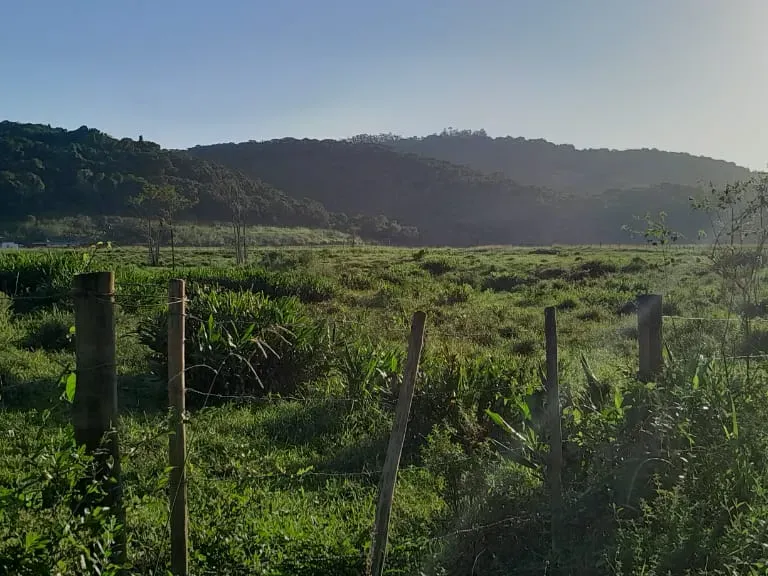 Fazenda em Jacupiranga/São Paulo — Ref ED5Z5Q — Imagem 7