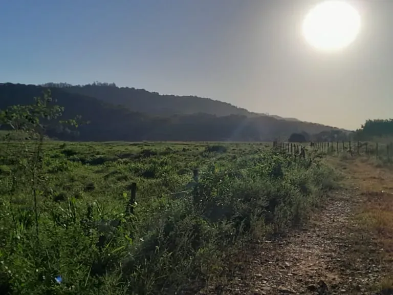 Fazenda em Jacupiranga/São Paulo — Ref ED5Z5Q — Imagem 8
