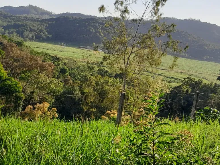 Fazenda em Jacupiranga/São Paulo — Ref ED5Z5Q — Imagem 12