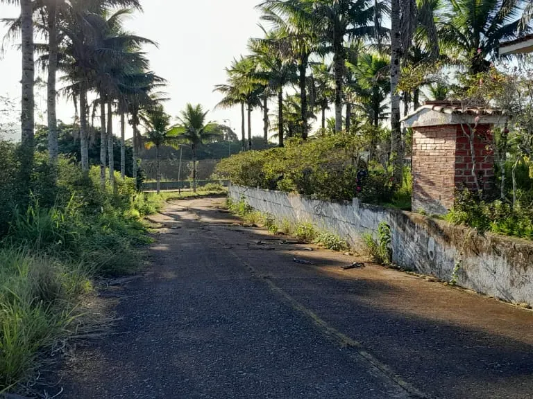 Fazenda em Jacupiranga/São Paulo — Ref ED5Z5Q — Imagem 4