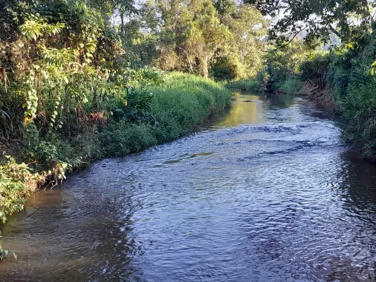 Fazenda em Jacupiranga/São Paulo — Ref ED5Z5Q — Imagem 6