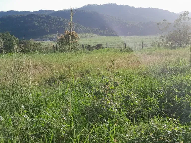 Fazenda em Jacupiranga/São Paulo — Ref ED5Z5Q — Imagem 9