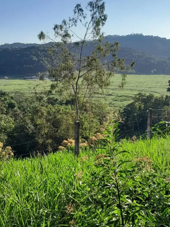 Fazenda em Jacupiranga/São Paulo — Ref ED5Z5Q — Imagem 13