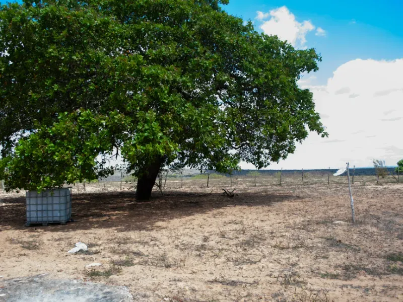 Fazenda em João Câmara/Rio Grande do Norte — Ref KWCQ7V — Imagem 11