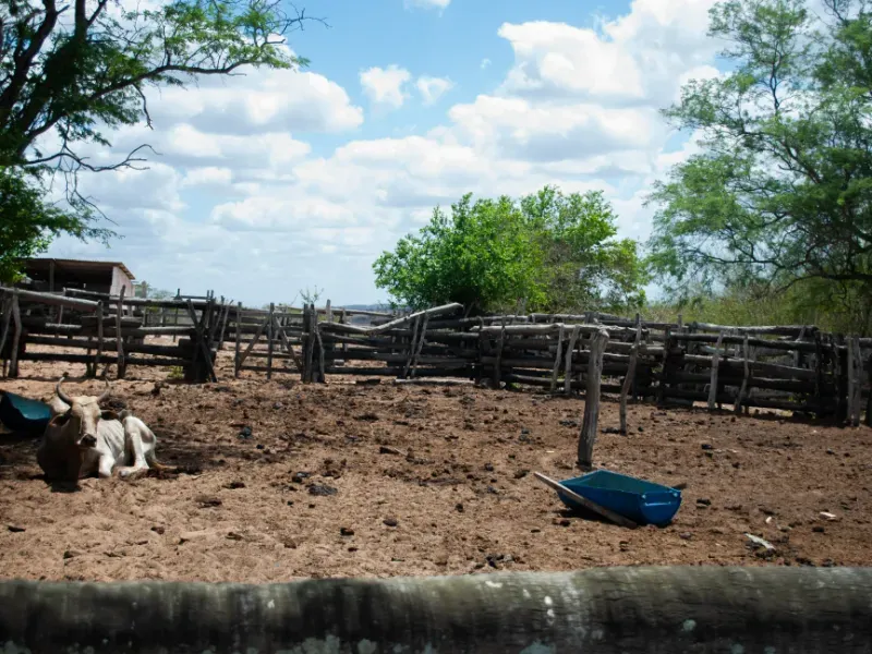 Fazenda em João Câmara/Rio Grande do Norte — Ref KWCQ7V — Imagem 23