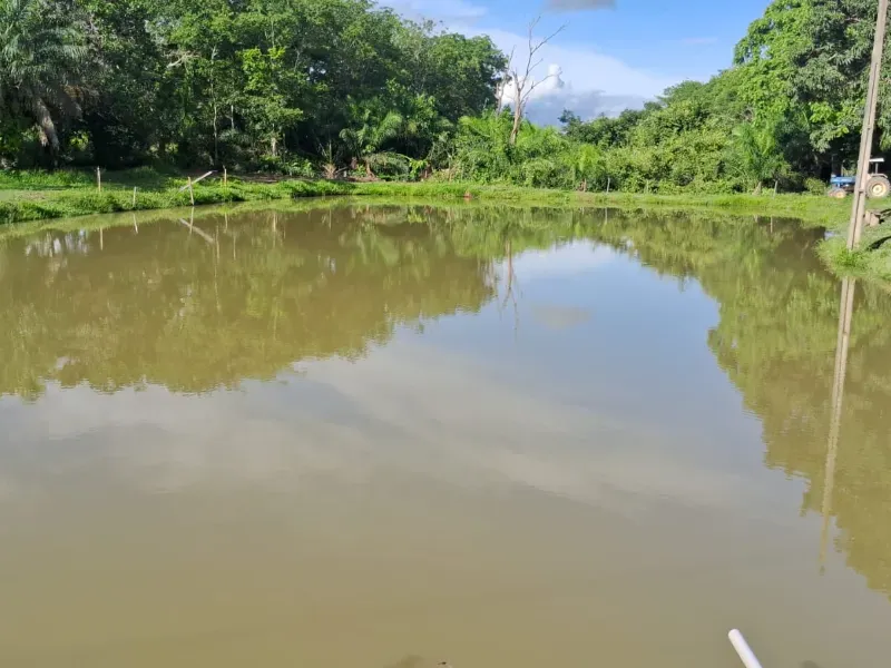 Sítio em Rosário Oeste/Mato Grosso — Ref MWK2RD — Imagem 4