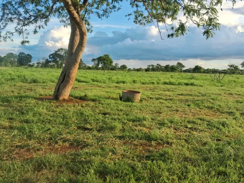 Sítio em Rosário Oeste/Mato Grosso — Ref MWK2RD — Imagem 9