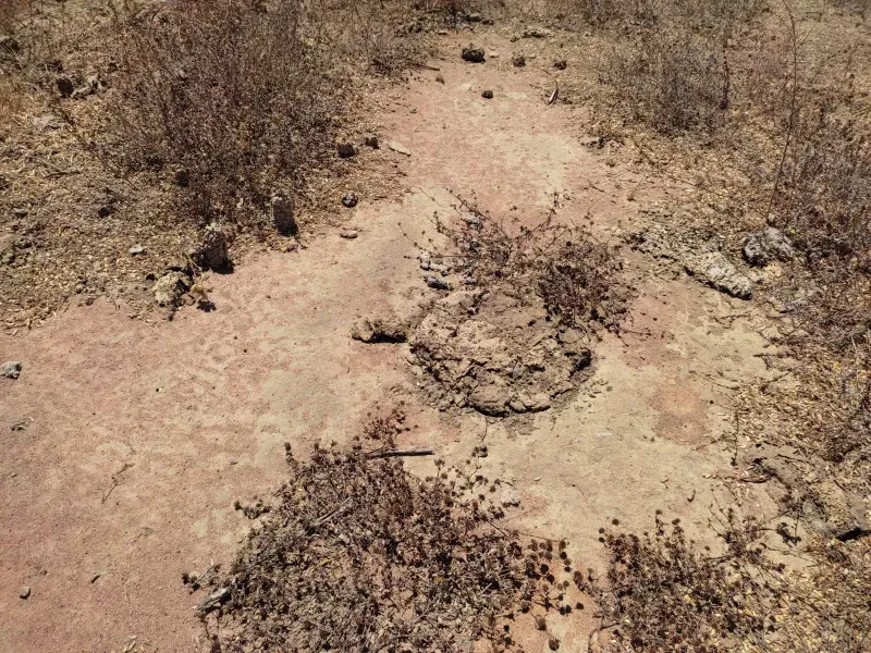 Fazenda em Sucupira/Tocantins — Ref H98QME — Imagem 32