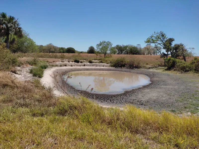 Fazenda em Sucupira/Tocantins — Ref H98QME — Imagem 2