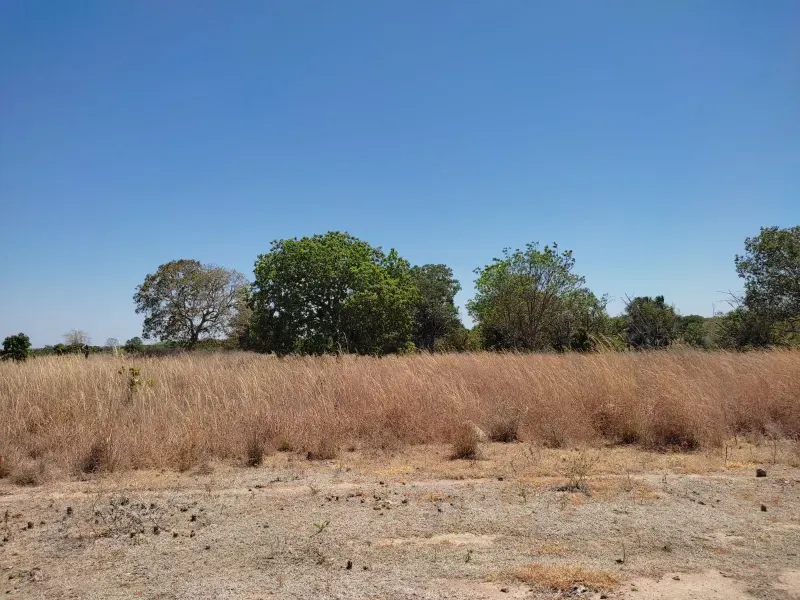 Fazenda em Sucupira/Tocantins — Ref H98QME — Imagem 25