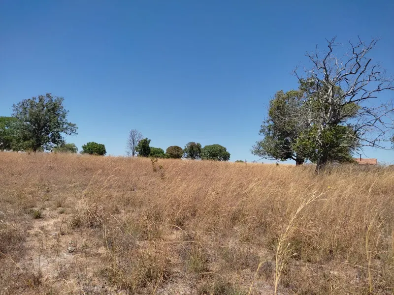 Fazenda em Sucupira/Tocantins — Ref H98QME — Imagem 33