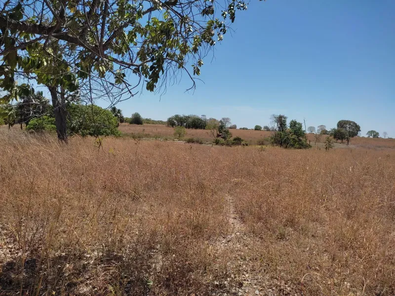 Fazenda em Sucupira/Tocantins — Ref H98QME — Imagem 23