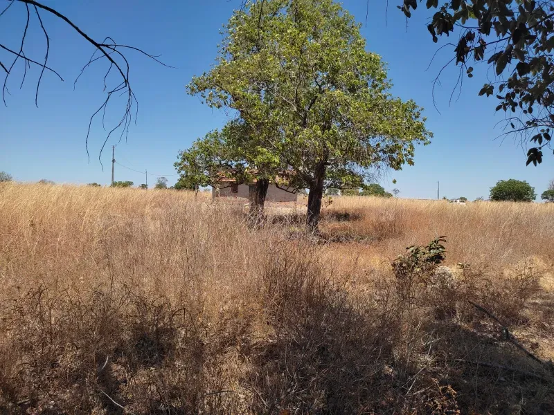 Fazenda em Sucupira/Tocantins — Ref H98QME — Imagem 36